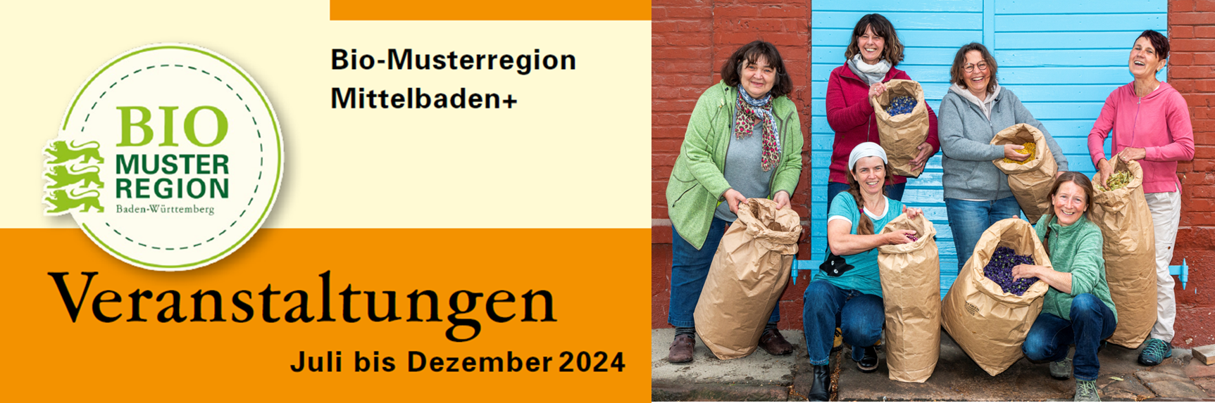 Programm Juli bis Dezember