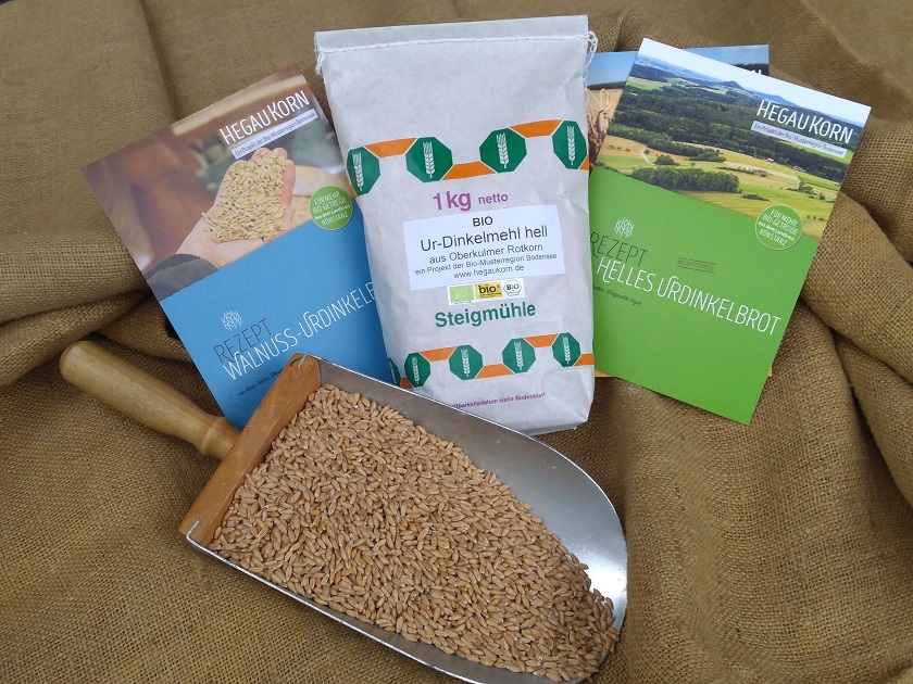 Mülenladen, Steigmühle Engen