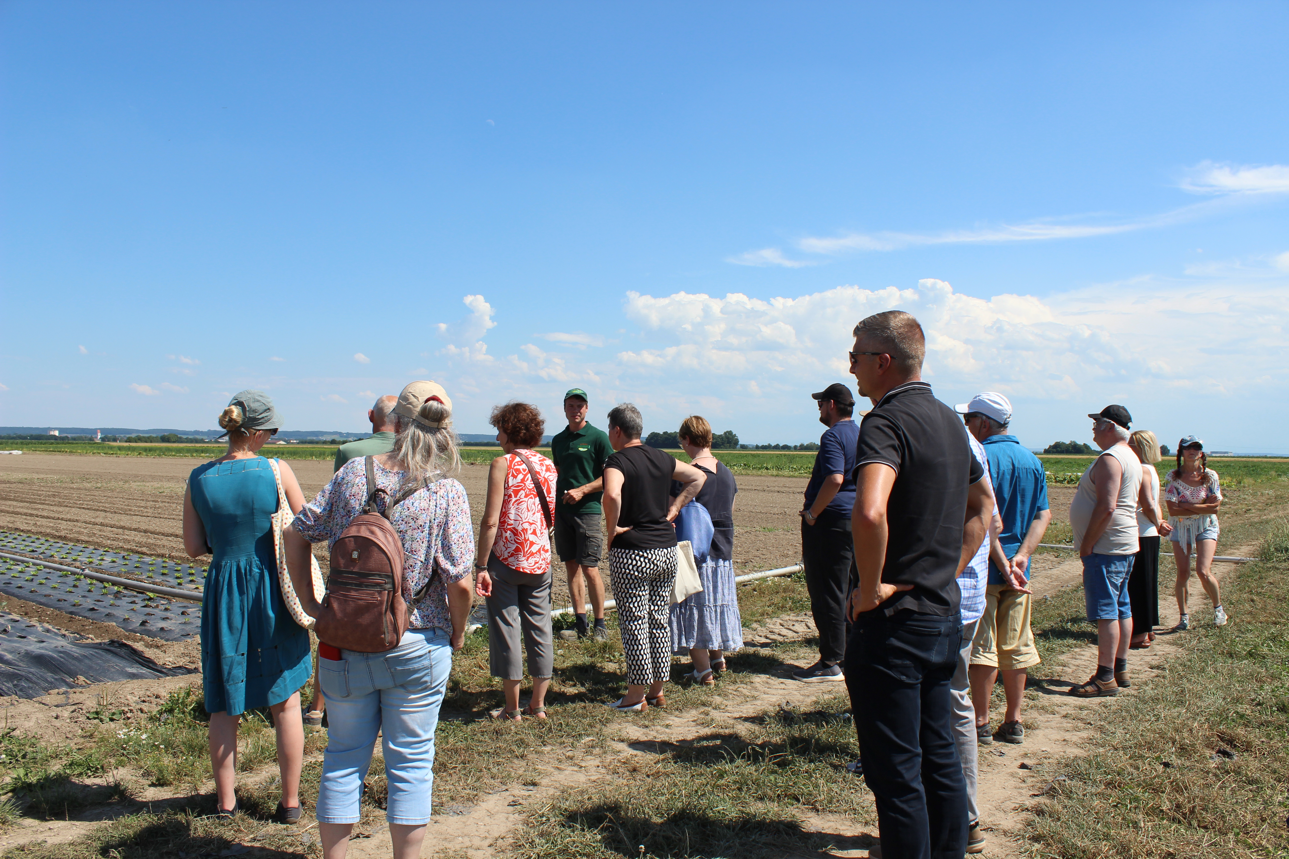 Die Teilnehmerinnen und Teilnehmer sieht man von hinten an einem Gemüsefeld