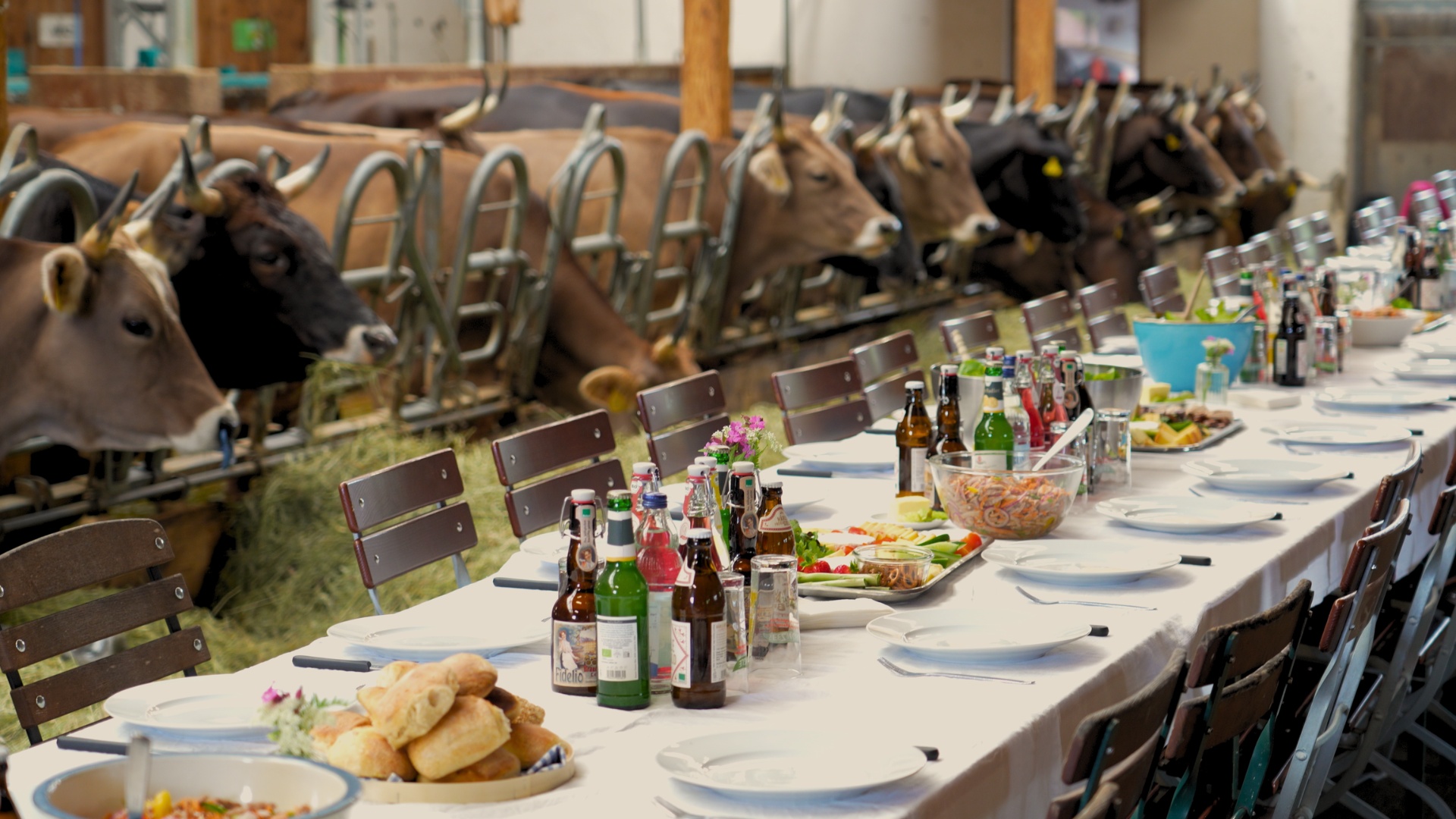 Die Tafel im Stall