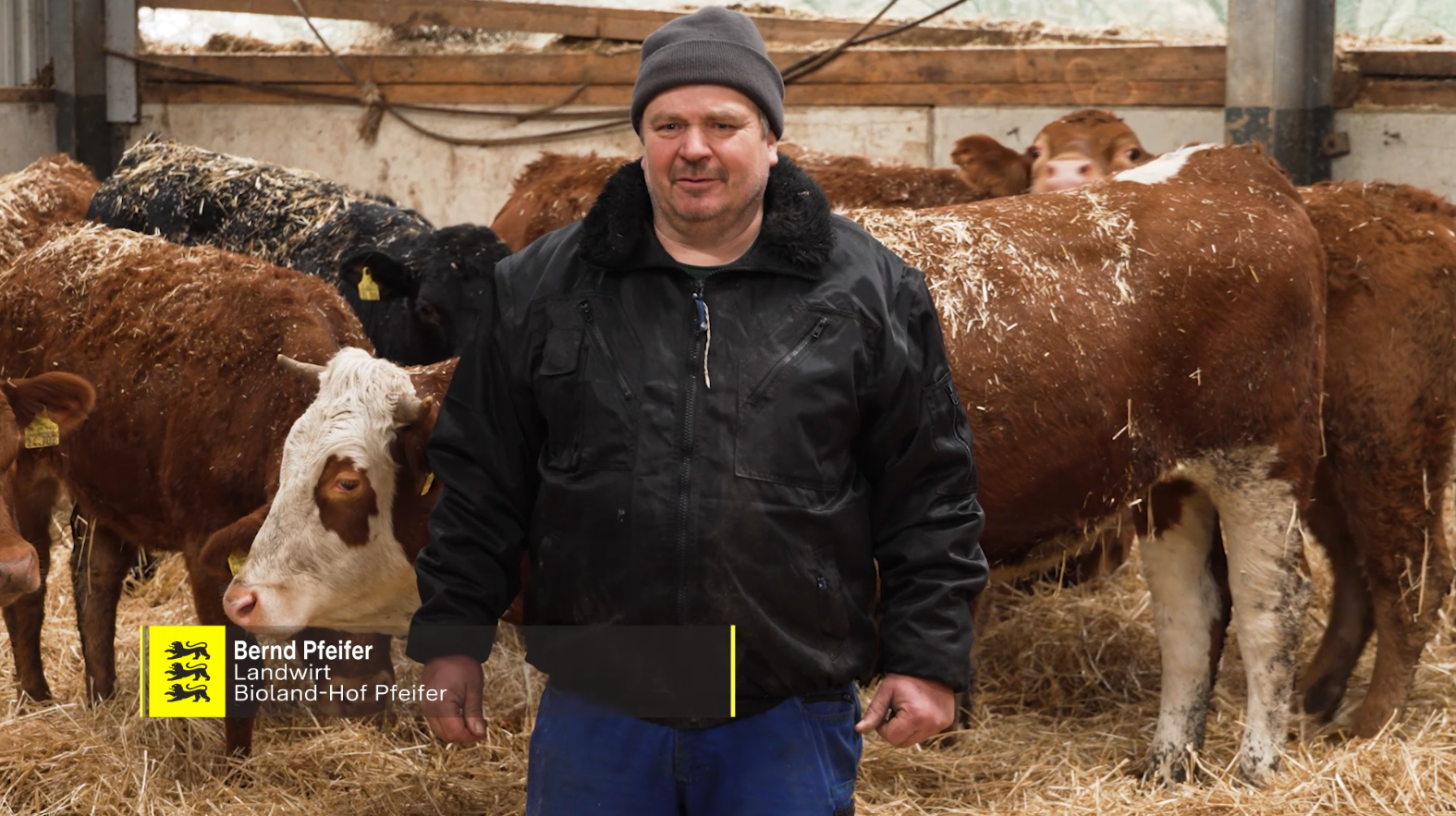 Regionales Bio in Kantine, Mensa & Co.: Rindfleisch aus der Region