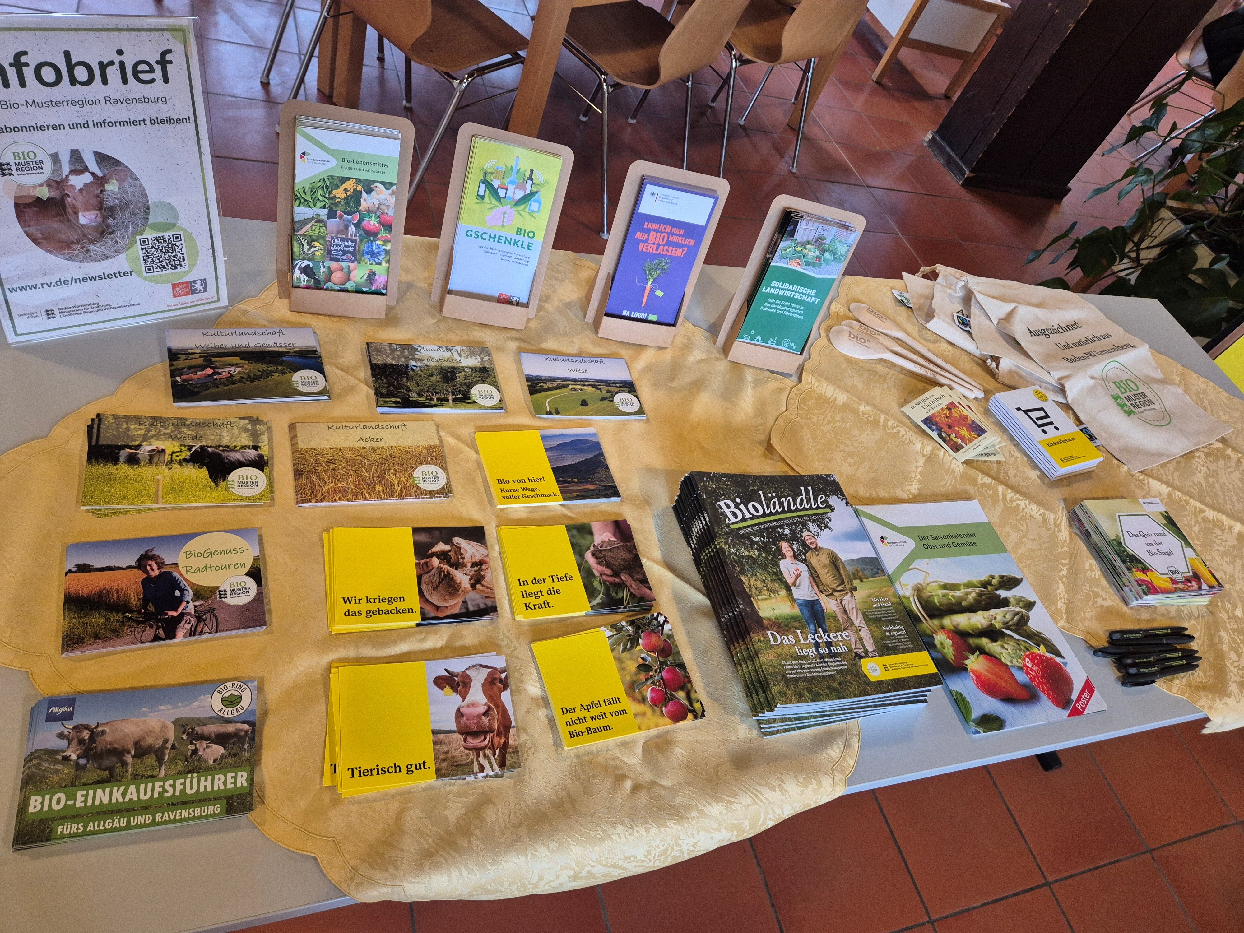Man sieht einen Tisch auf dem verschiedene Flyer ausgelegt sind