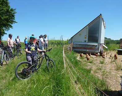 Mobilstall_Biolandhof Wilhelm