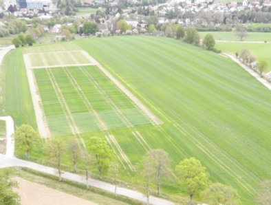 Luftbild Ökoversuchsfeld