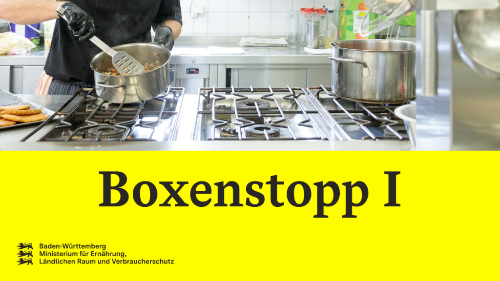 Boxenstopp I – erster Zwischenstand im Projekt