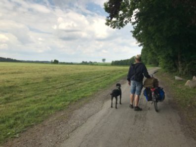 BioRadRouten