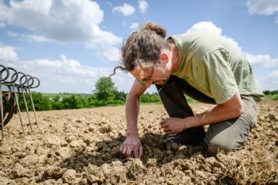 Christoph Bosch bei der Hirsesaat