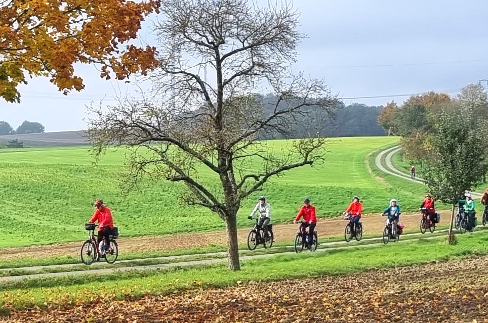 Zwei Fahrradfahrer fahren auf einer Straße durch den Wald