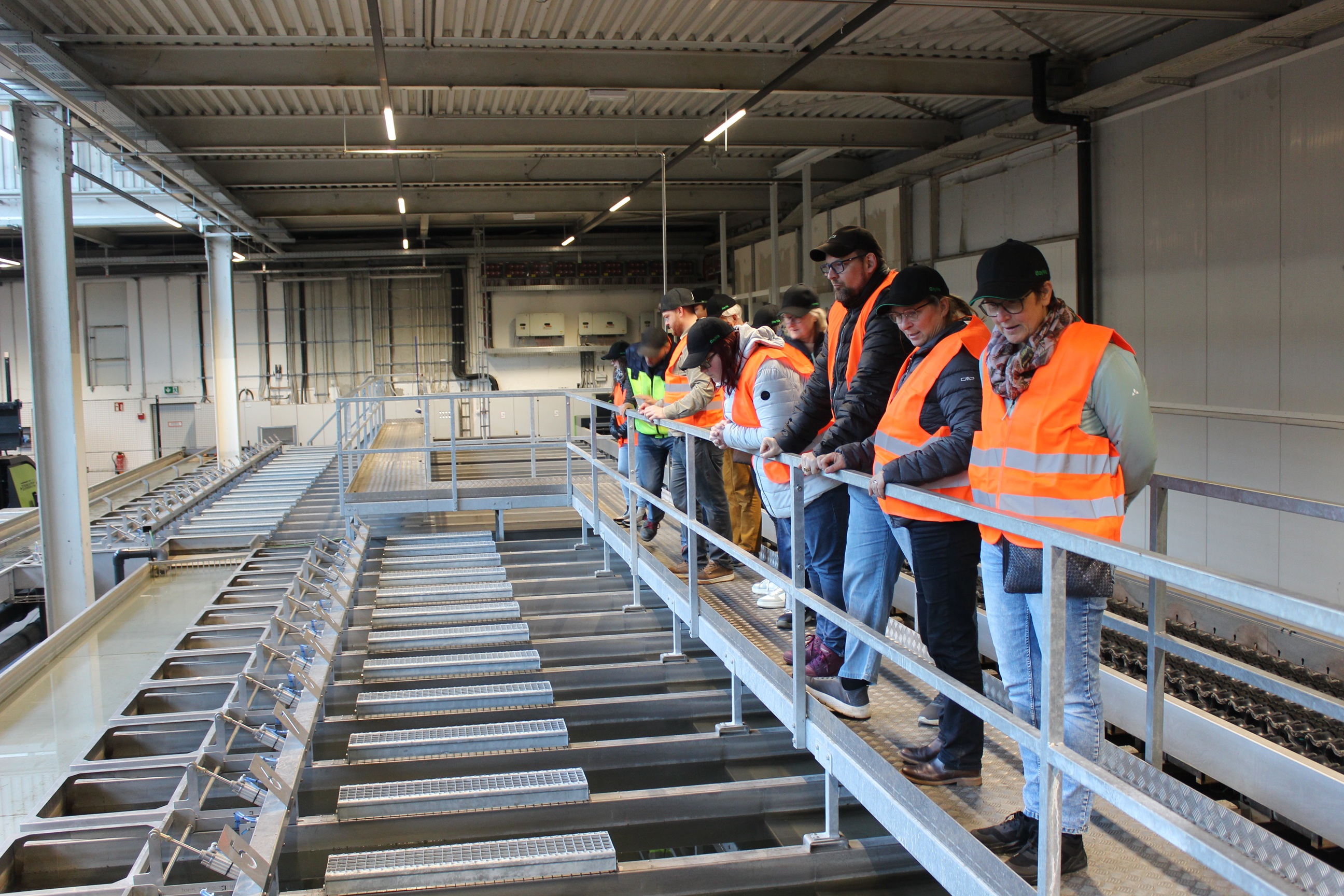Teilnehmende in Warnwesten stehen auf einer Gangway über den Sortierboxen der Äpfel