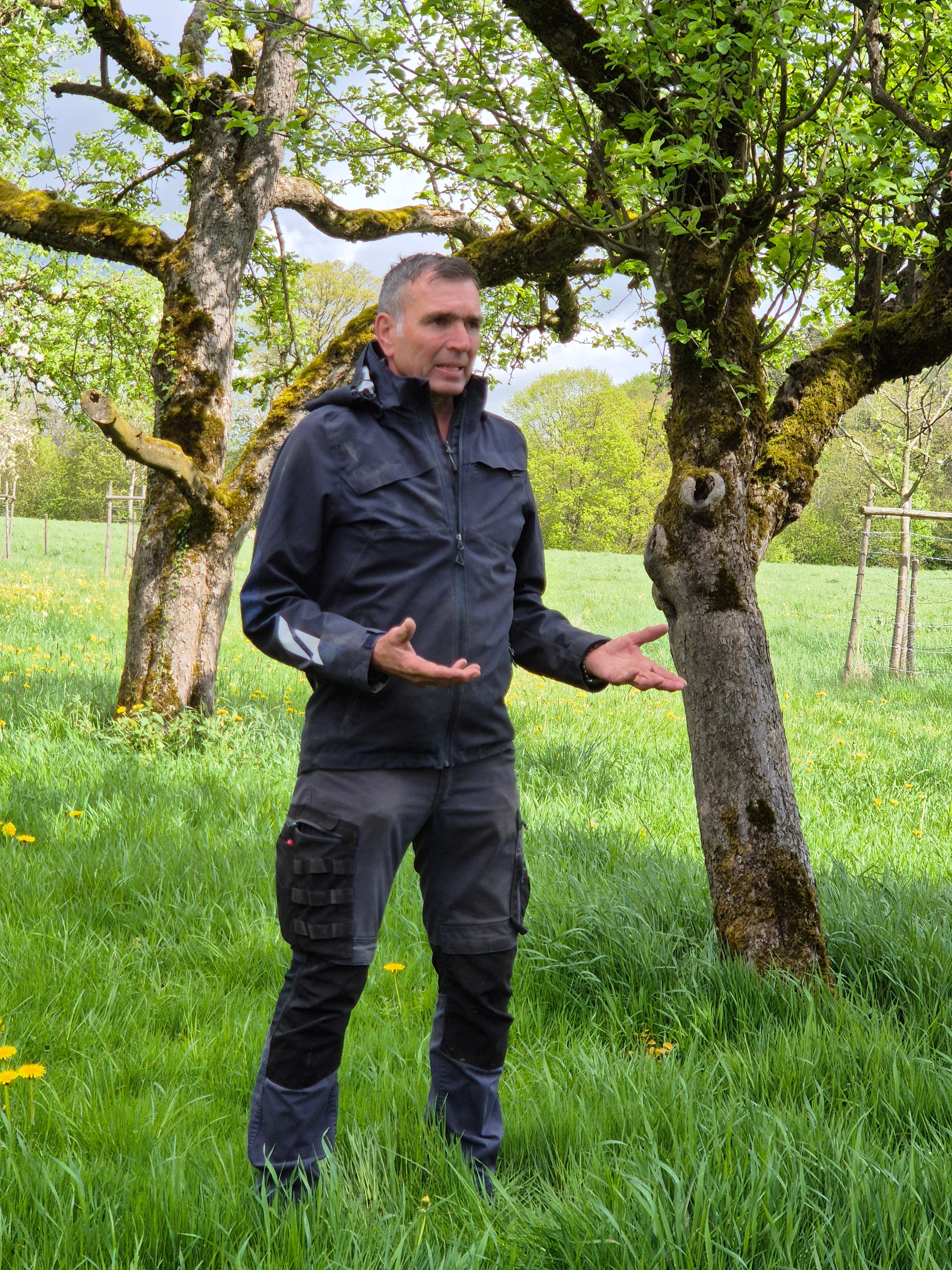 Gereon Güldenberg steht auf der Streuobstwiese und erklärt