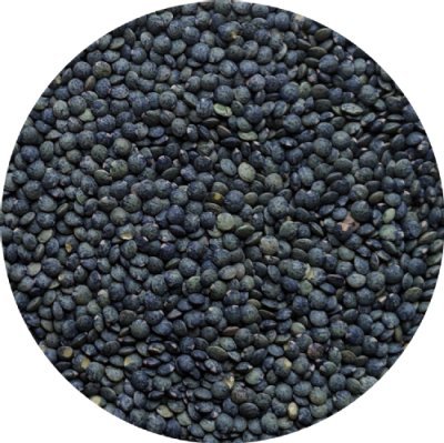 linsen gereinigt.jpg