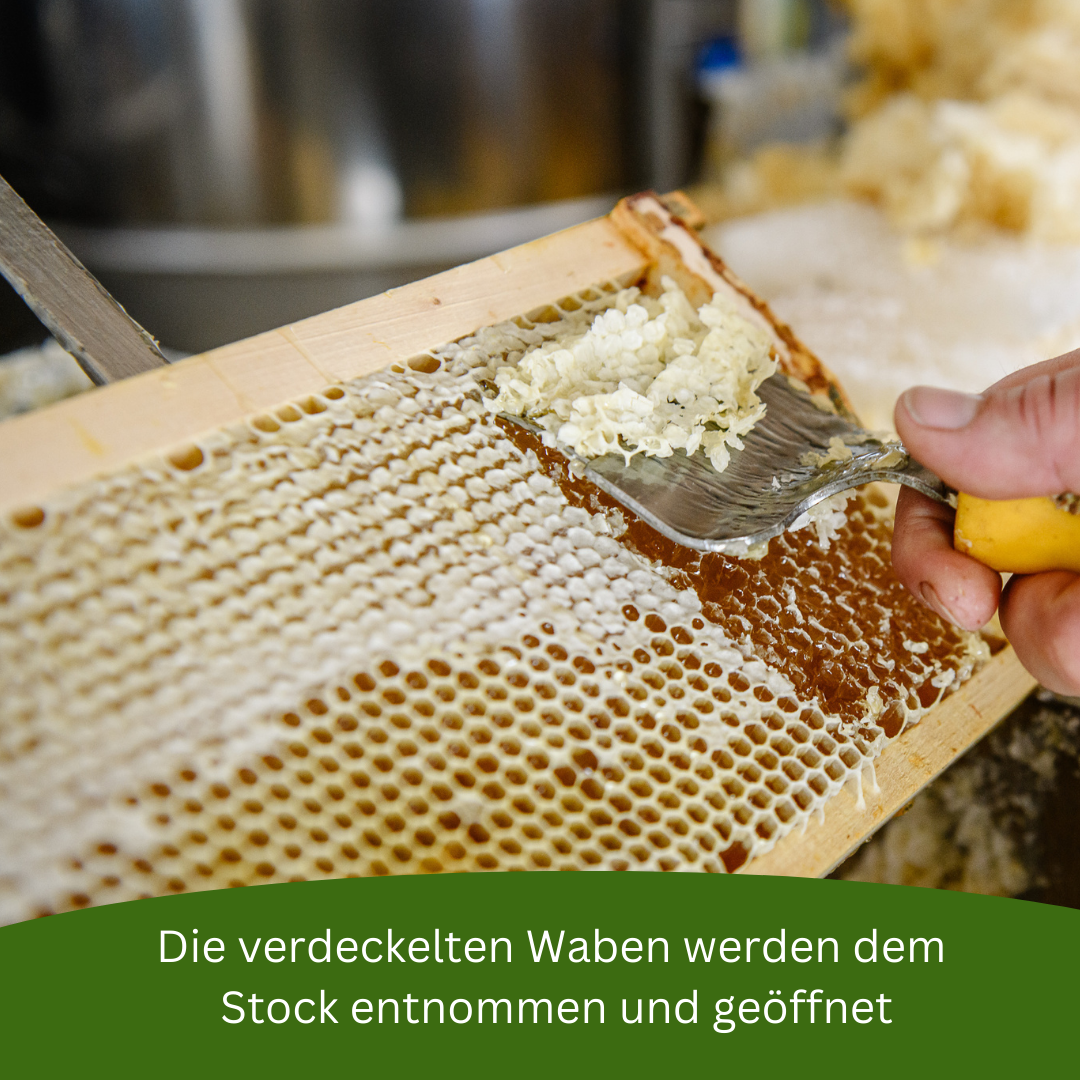 6_Honig.png